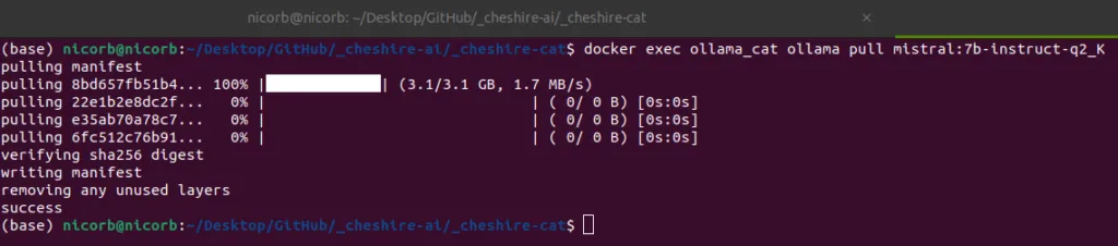 Model pull output in the terminal